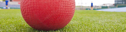 A kickball sitting on grass